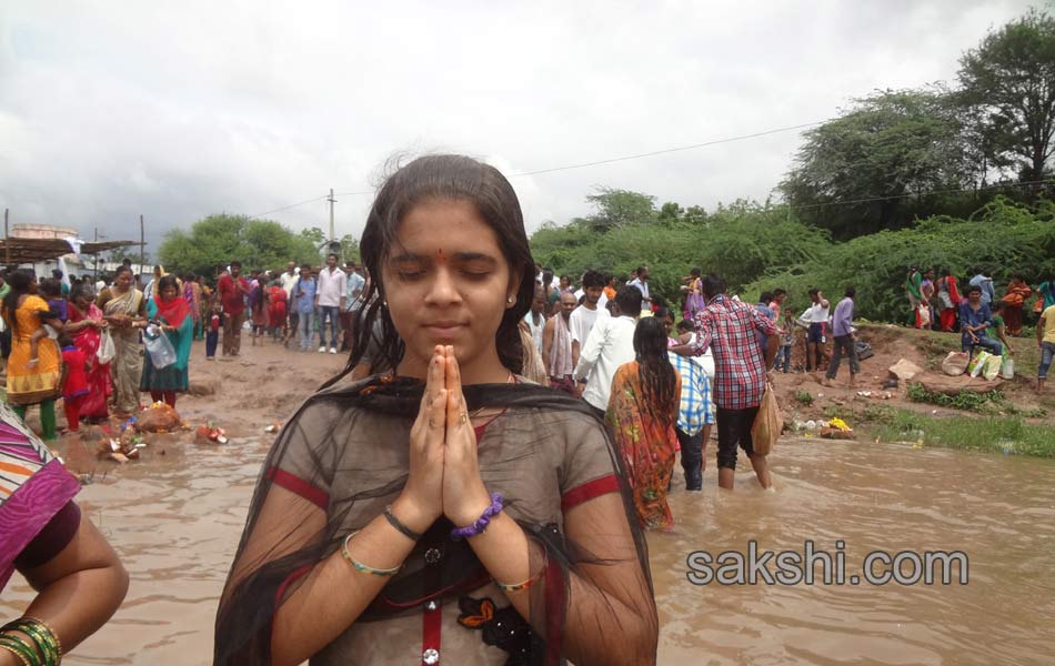 telangana godavari pushkaralu - Sakshi8