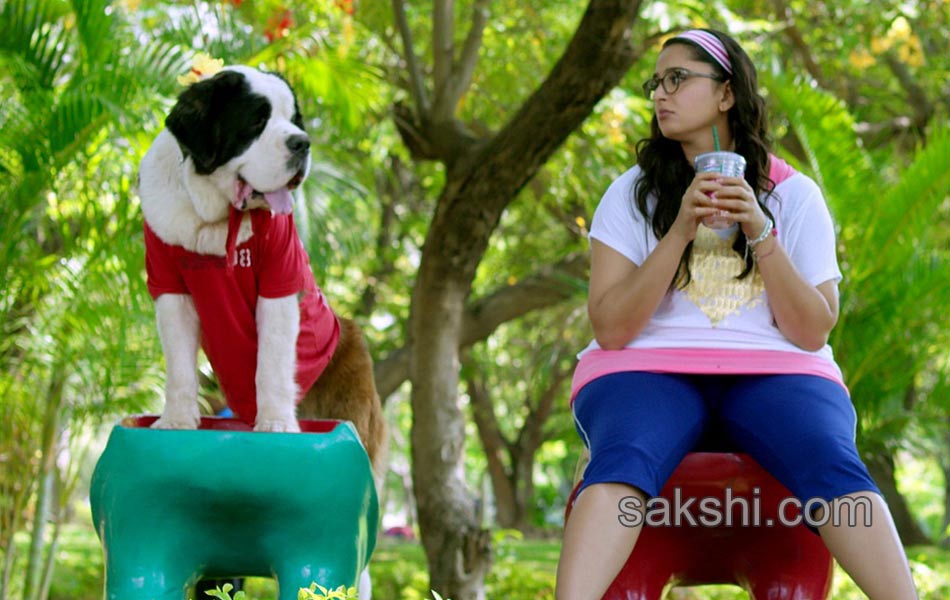size zero movie stills - Sakshi1