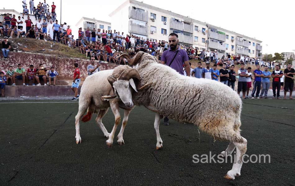 Eid al Adha festival - Sakshi9