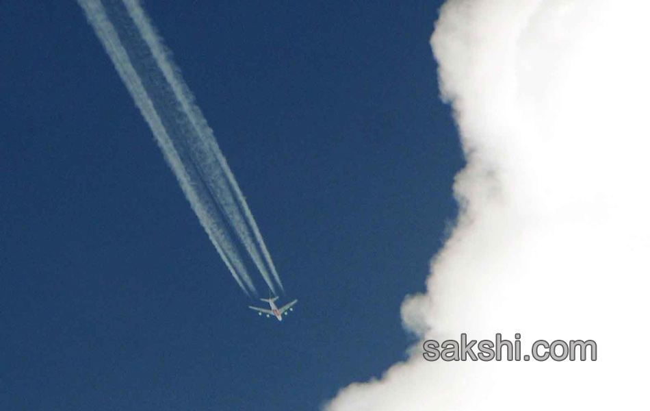 Best pics of the week47