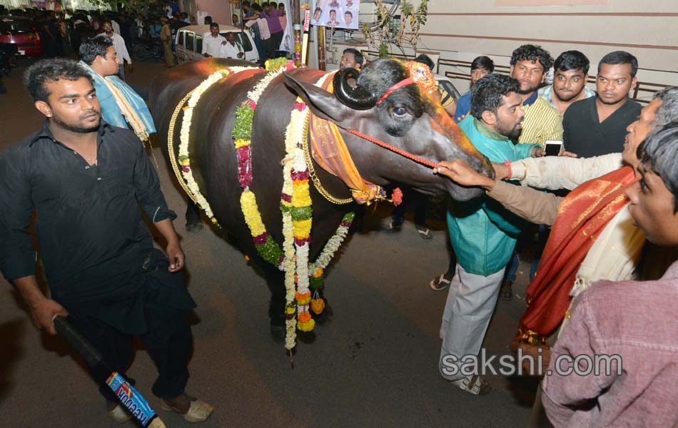 Sadar celebrations6