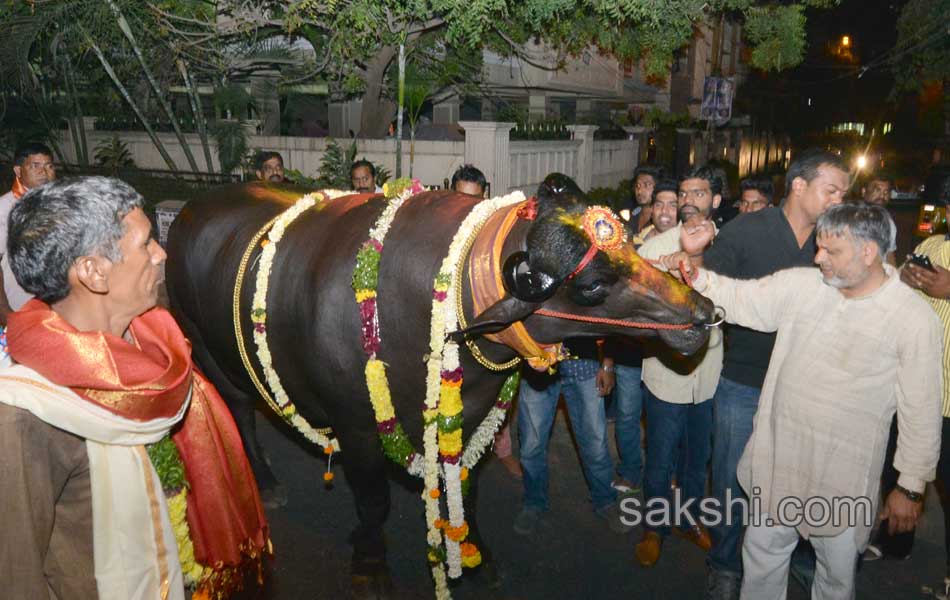 Sadar celebrations11