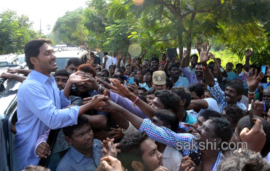YS jagan tourn in Nellore district - Sakshi9