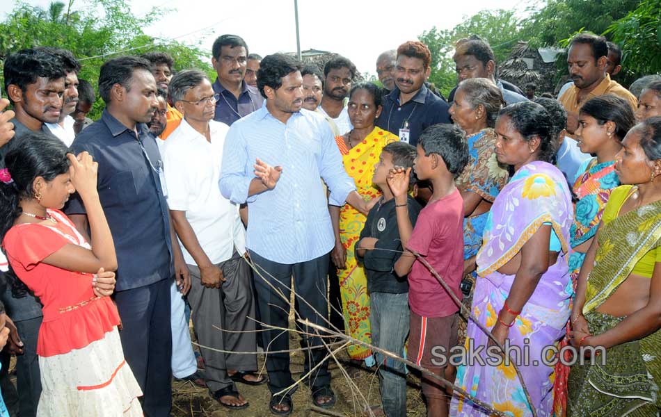 YS jagan tourn in Nellore district - Sakshi14
