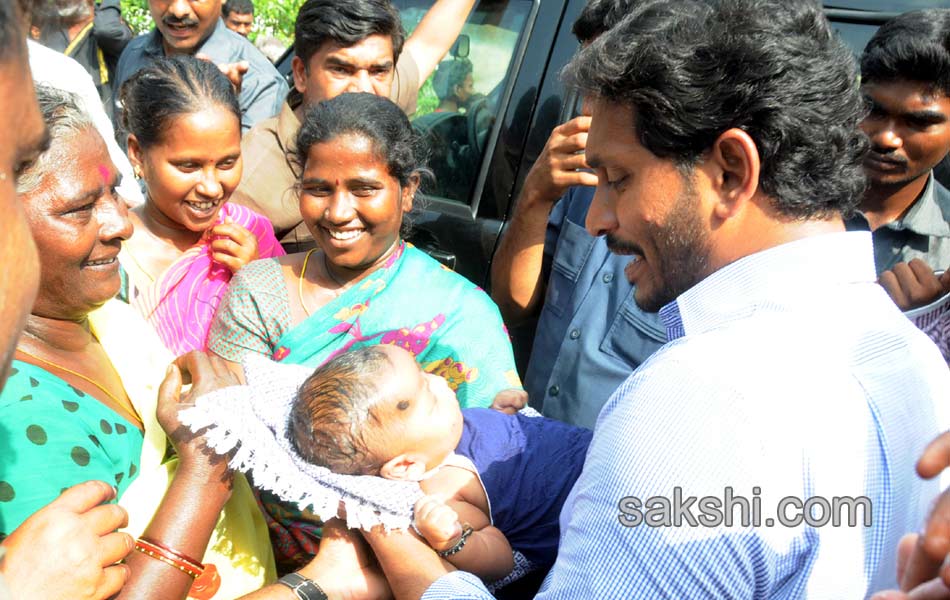 YS jagan tourn in Nellore district - Sakshi30