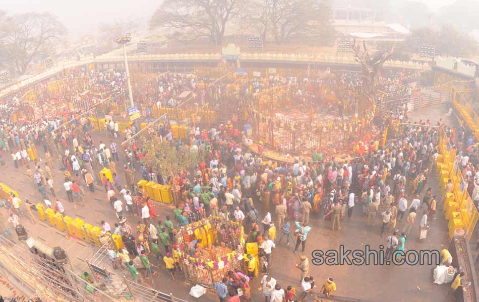 grand lunch to medaram jatara22