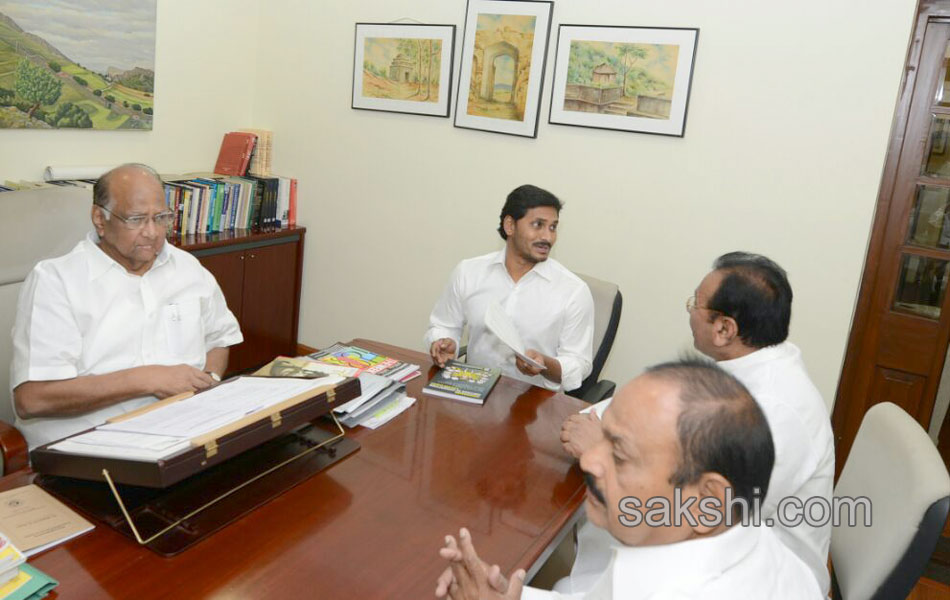 ysrcp leaders reaches delhi - Sakshi10