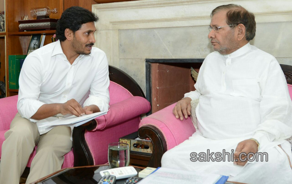 ysrcp leaders reaches delhi - Sakshi11