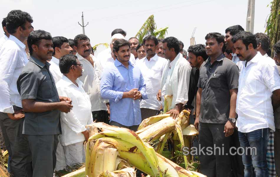 ys jaganmohan reddy tour in pulivendula - Sakshi12