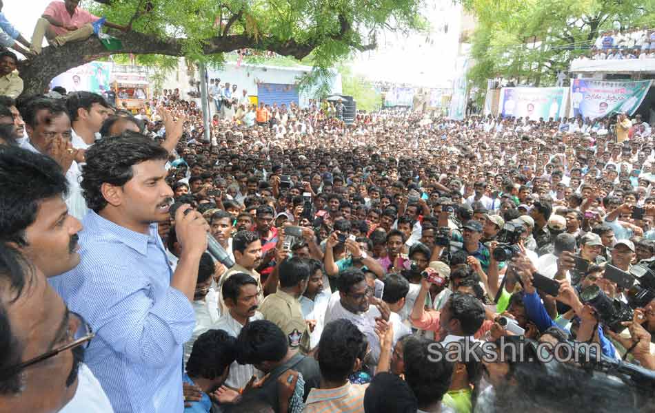 YS Jagan Mohan Reddy raithu barosa yatra in anantapur district - Sakshi15