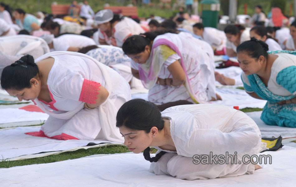 International Yoga Day 2016 - Sakshi16