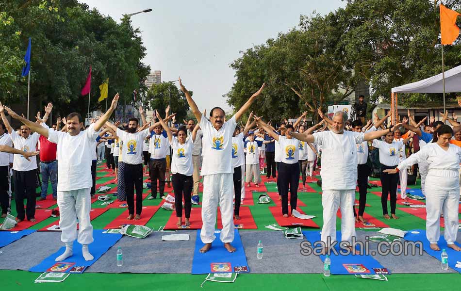 International Yoga Day 2016 - Sakshi23