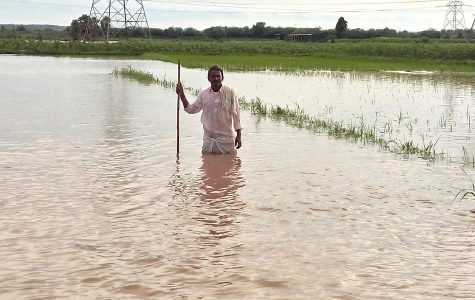 Rain fall remains tears - Sakshi14
