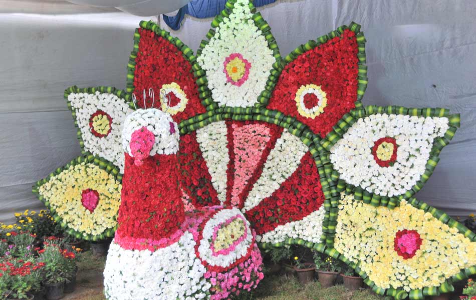 attractive flower exhibition1