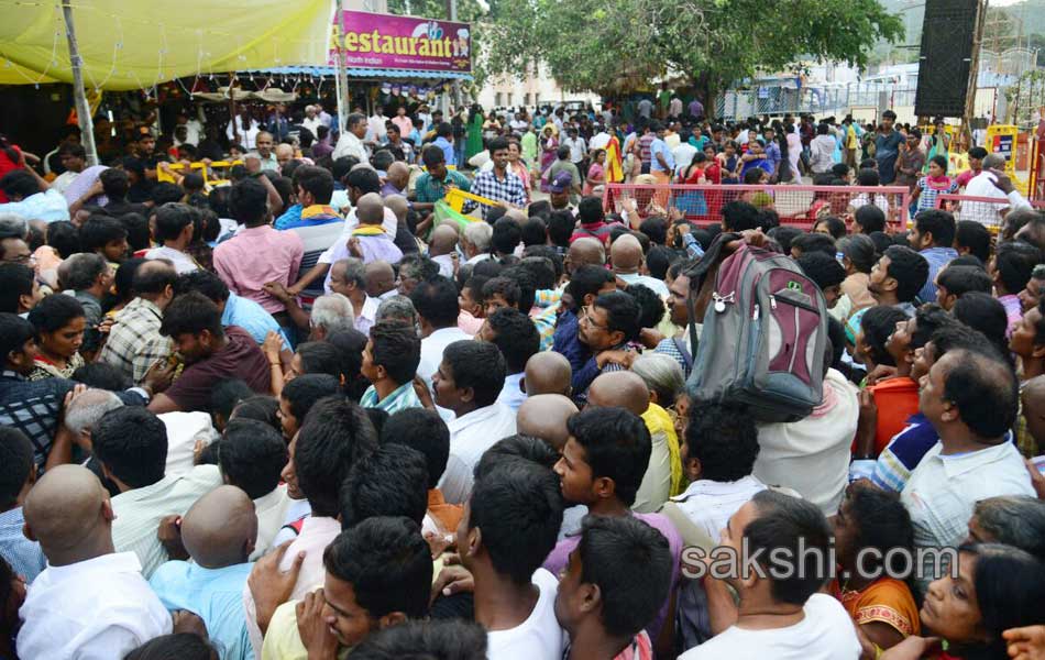 Garuda Vahanam Brahmotsavam10