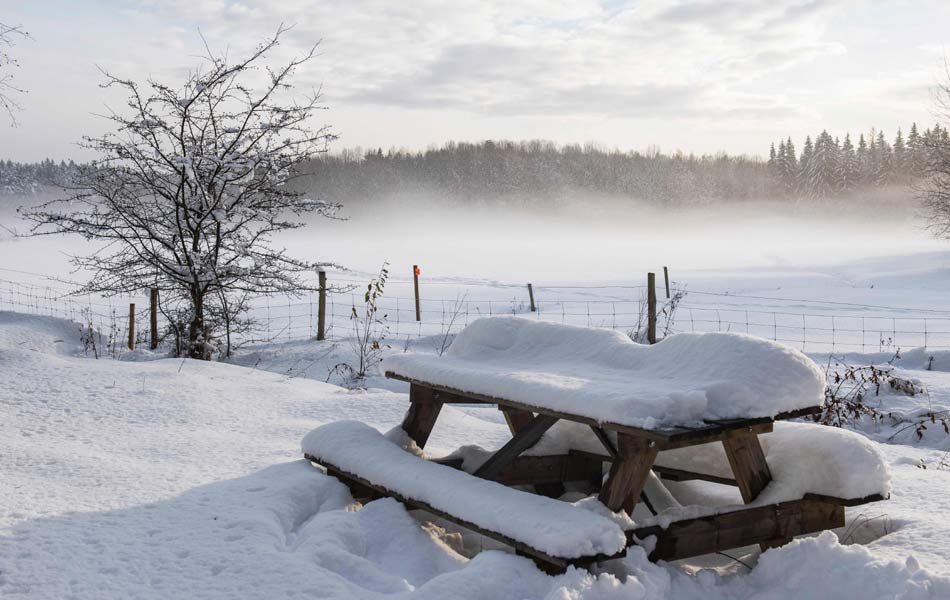 snow storm hits sweden2