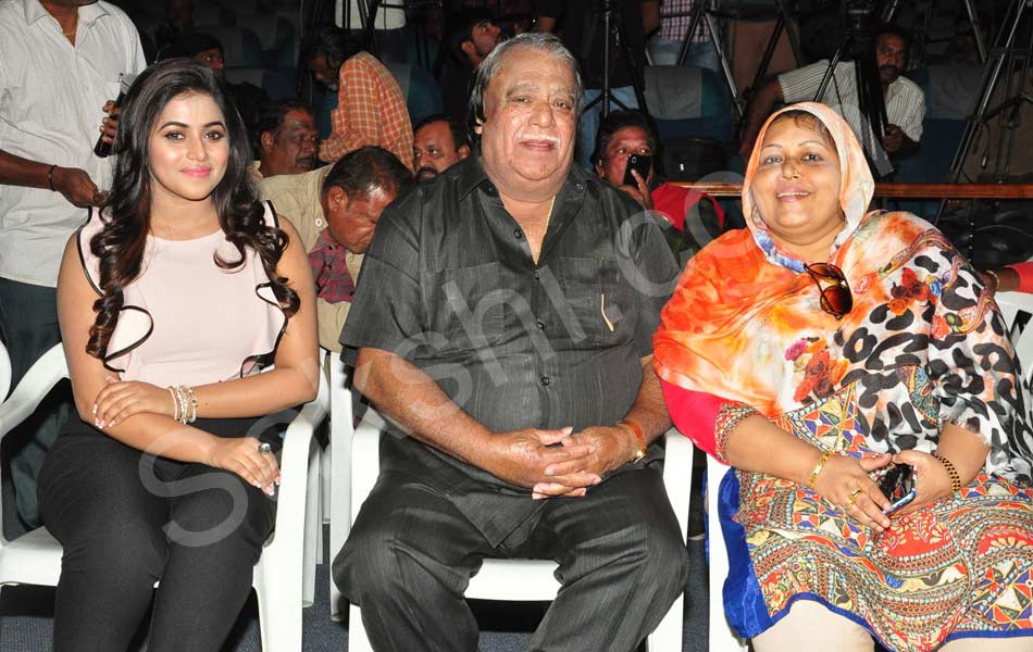 Jayammu Nischayammu Raa Success Meet8