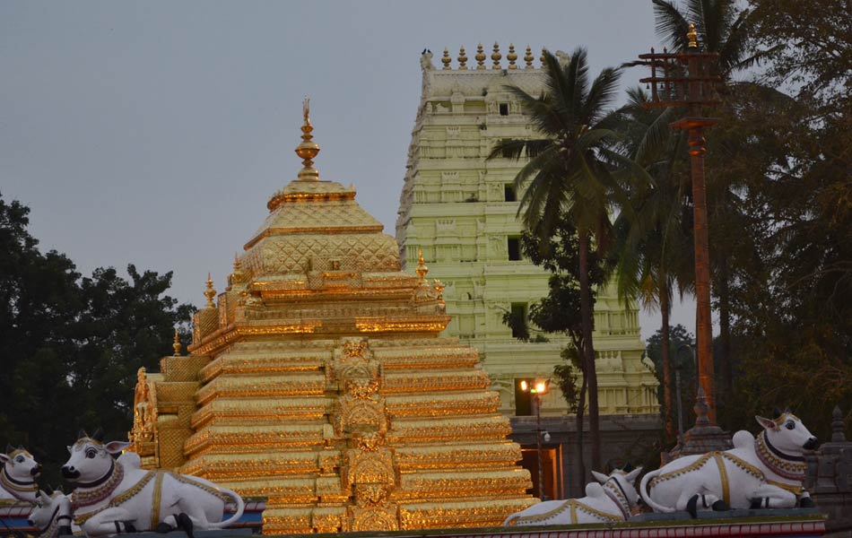 festival glow of srigiri - Sakshi4