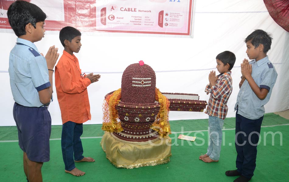 mahashivratri in ap - Sakshi20