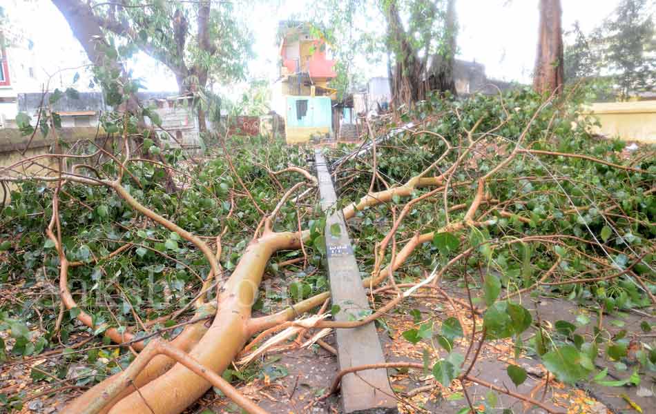 heavy rain in kothagudem15