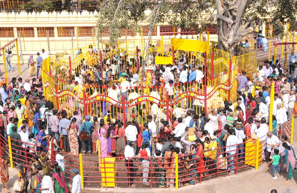 sammakka saralamma jathara - Sakshi19