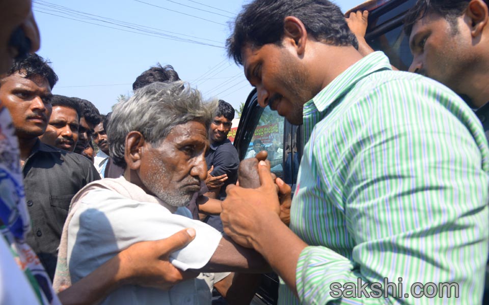 grand response for ys jagan mohan reddy road show - Sakshi10