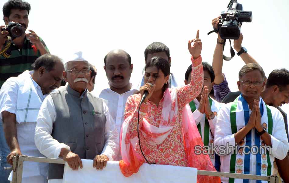 Sharmila s YSR Janabheri at nellore district - Sakshi7