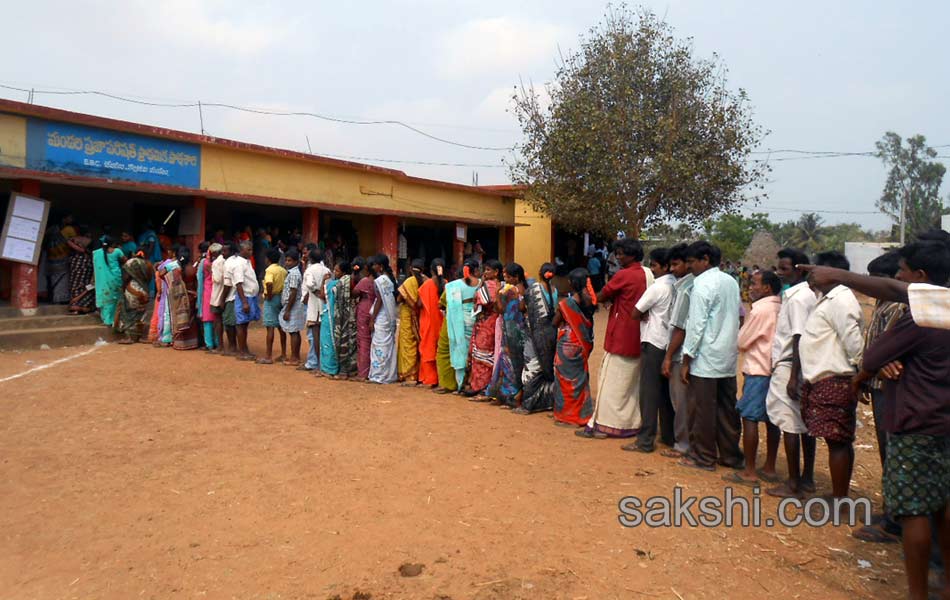 ZPTC MPTC polling at different districts in state - Sakshi12