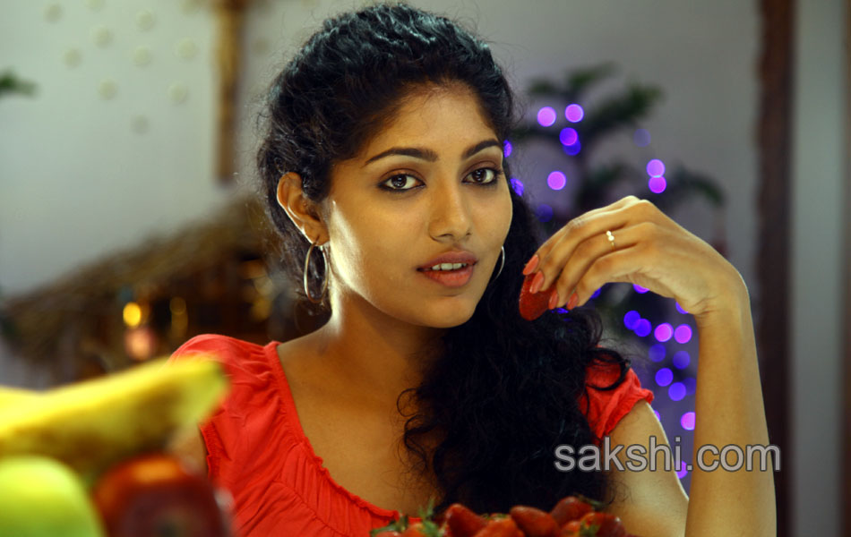 Ulavacharu biryani New Movie stills6