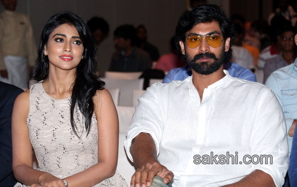 SIIMA Awards Curtain Raiser Press Meet - Sakshi5