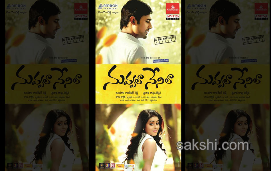 Nuvvalaa Nenilaa Movie Posters6
