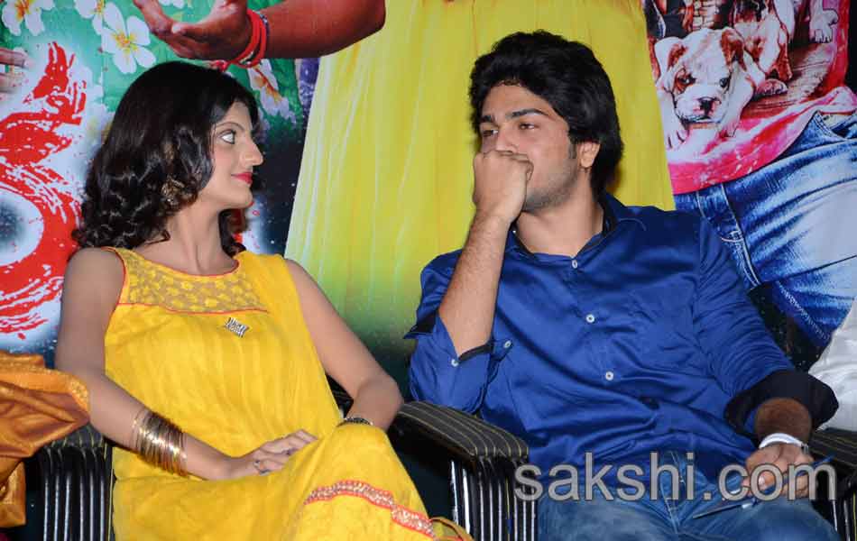 Yevariki Yevaru Audio Launch - Sakshi7