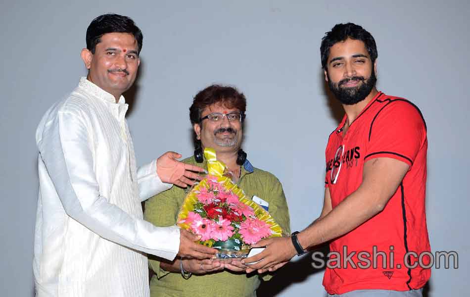 Yevariki Yevaru Audio Launch - Sakshi13