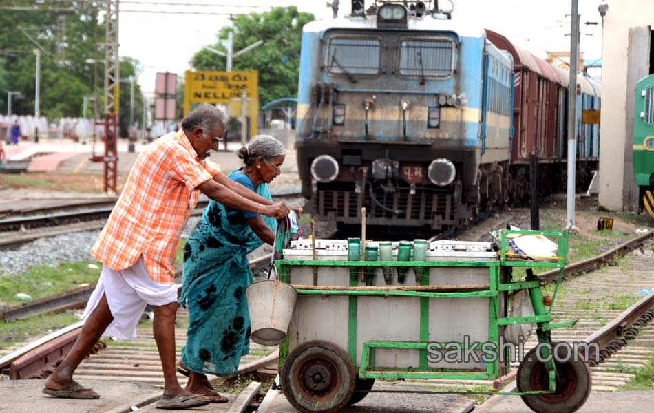 2014 Best Images - Sakshi31