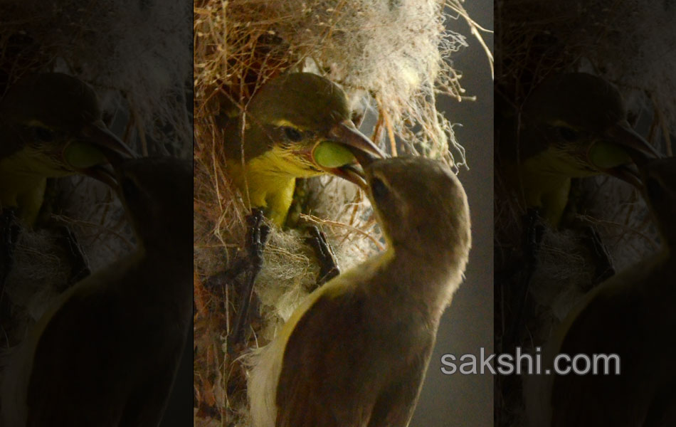 2014 Best Images - Sakshi44