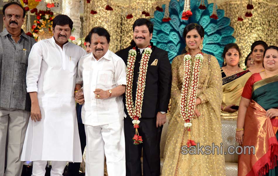 Rajendra Prasad Son Wedding Reception18