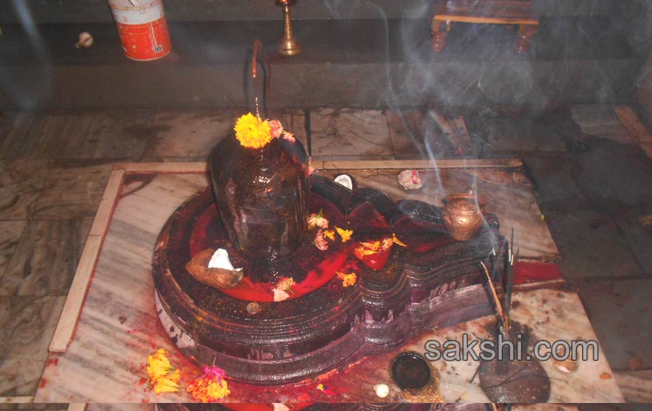 Temples decorated for Maha Shivaratri - Sakshi7