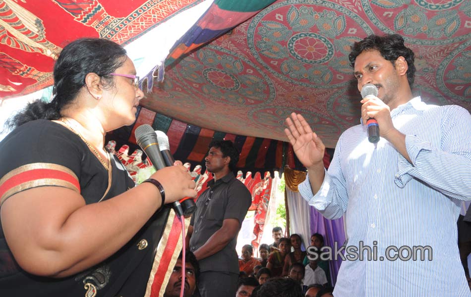 YS jagan mohan reddy tour in ananthapuram - Sakshi3