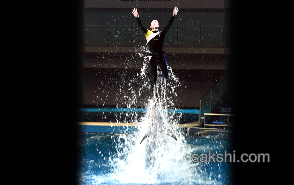 JAPAN AQUARIUM PARK11