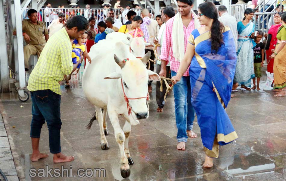 telangana pushkaralu 2015 - Sakshi14