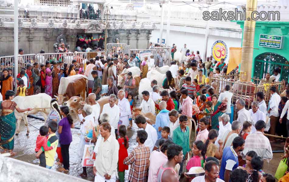 telangana pushkaralu 2015 - Sakshi15