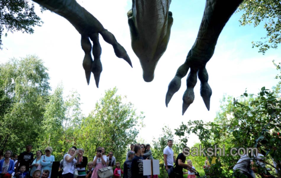 BELARUS DINOSAUR PARK5