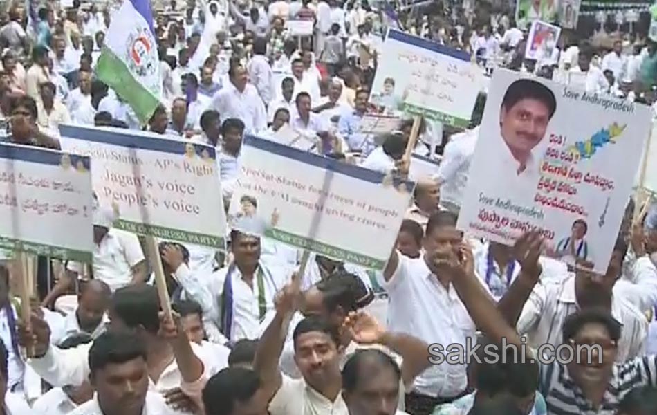 YS Jagan mohan Reddy Dharna started for ap special status - Sakshi14