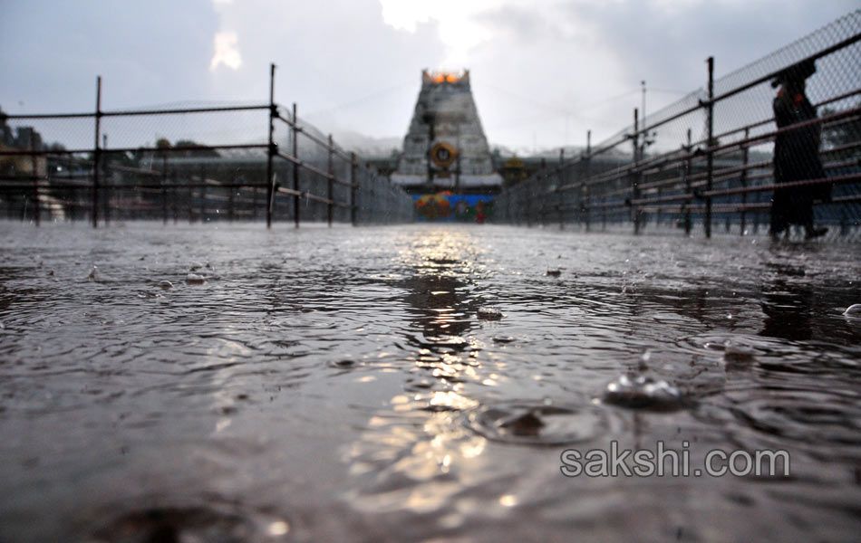 Huge Rains in Thirumala7