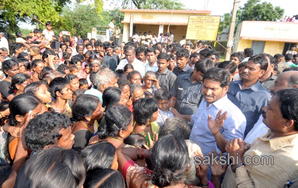 YS jagan tourn in Nellore district - Sakshi1