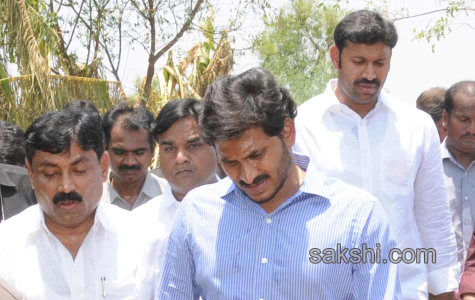 ys jaganmohan reddy tour in pulivendula - Sakshi8