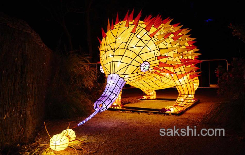 light festival in sydney2