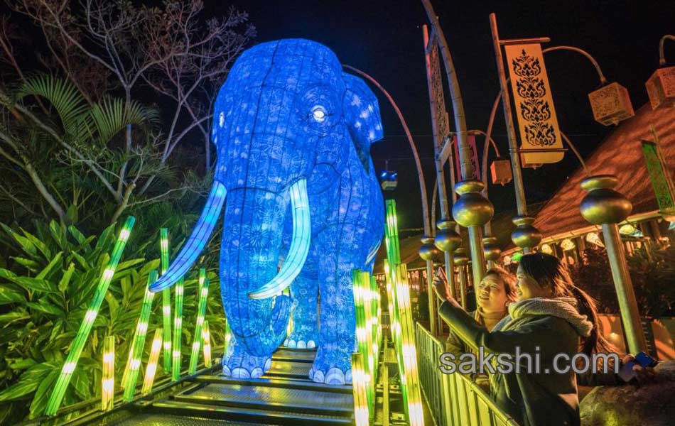 light festival in sydney11