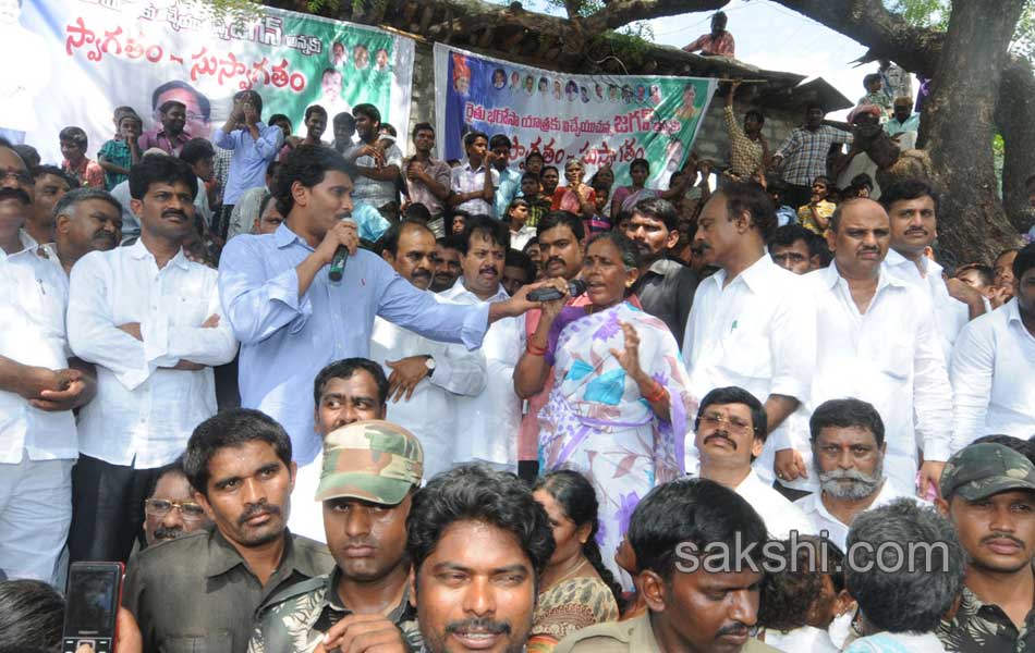 YS Jagan Mohan Reddy raithu barosa yatra in anantapur district - Sakshi23