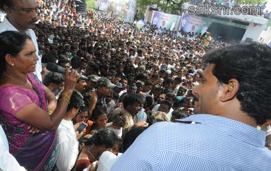 YS Jagan Mohan Reddy raithu barosa yatra in anantapur district - Sakshi27